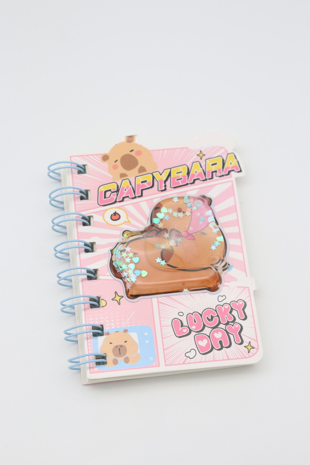 CAPY BARA KÜÇÜK NOT DEFTERİ