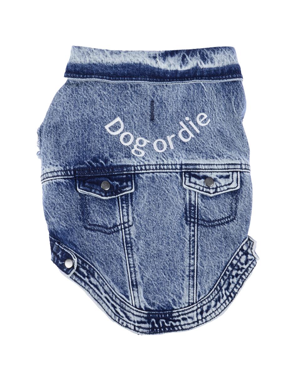 DOG OR DIE MOTTOLU DENİM KÖPEK CEKETİ