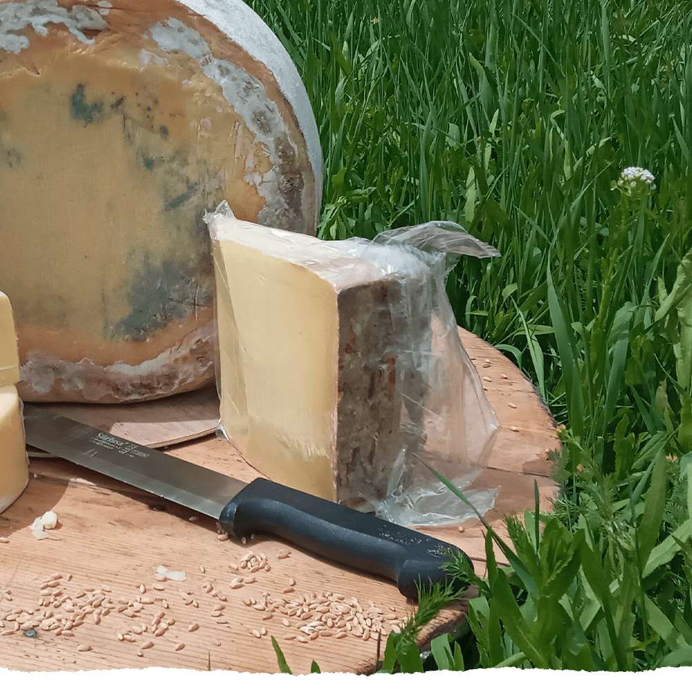 KARS ESKİ KAŞAR PEYNİRİ 1KG