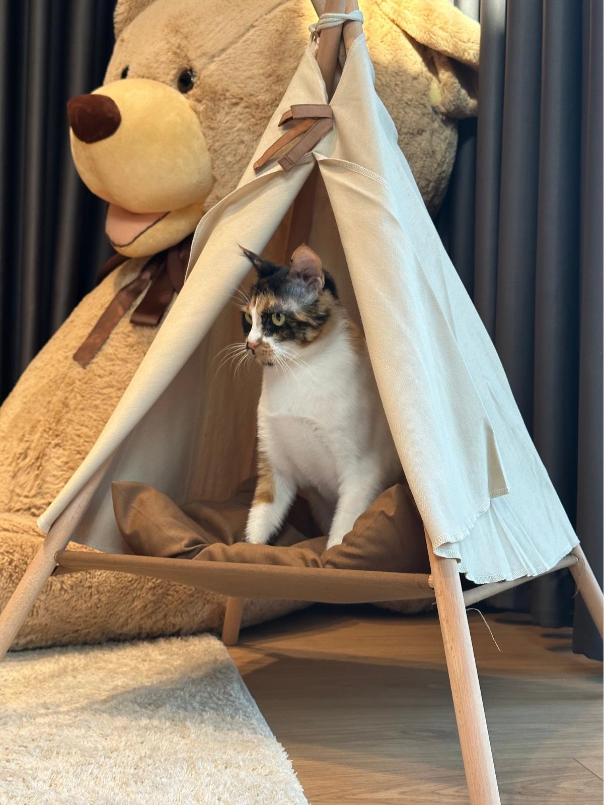 Kedi Çadırı Kedi Yatağı Pofuduk Minderli Bej