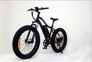 Frank Müller E-Bike / Fat Bike (Big Edition)