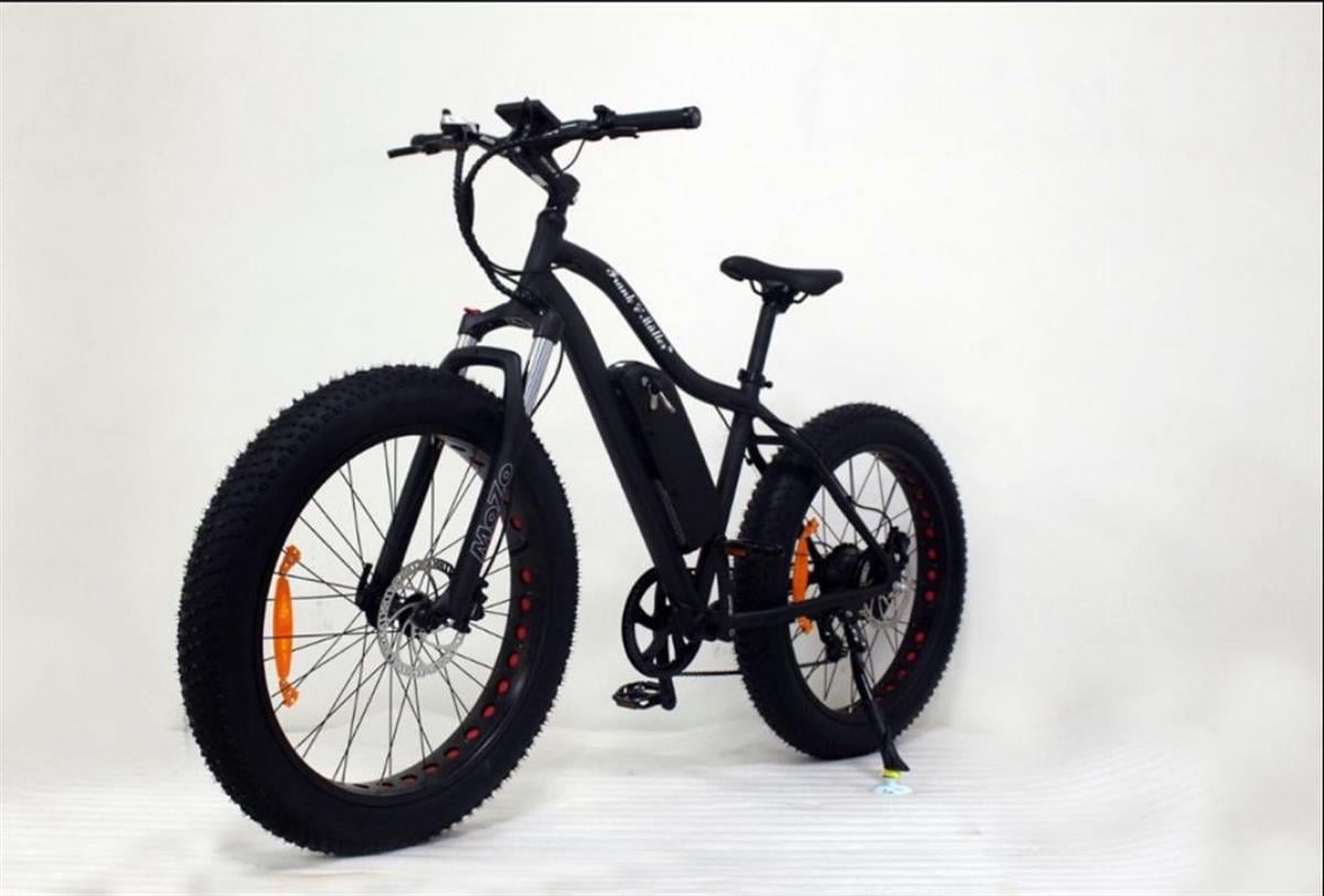 Frank Müller E-Bike / Fat Bike (Big Edition)