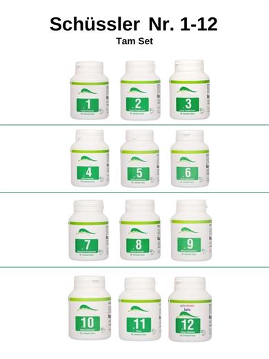 SCHÜSSLER DR. TUZLARI NR. 1-12  FONKSİYONEL EKONOMİK SET ( 12 KUTU X 400 TABLET)
