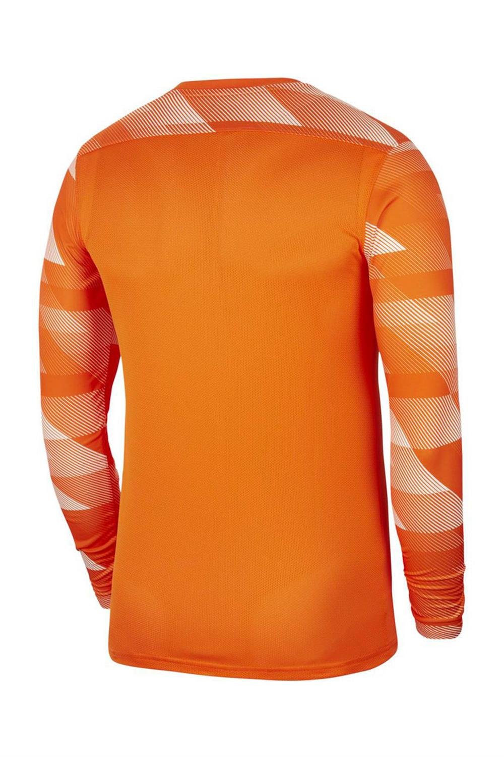 Nike Dri-Fıt Park Iv Erkek Kaleci Forması Cj6066-819