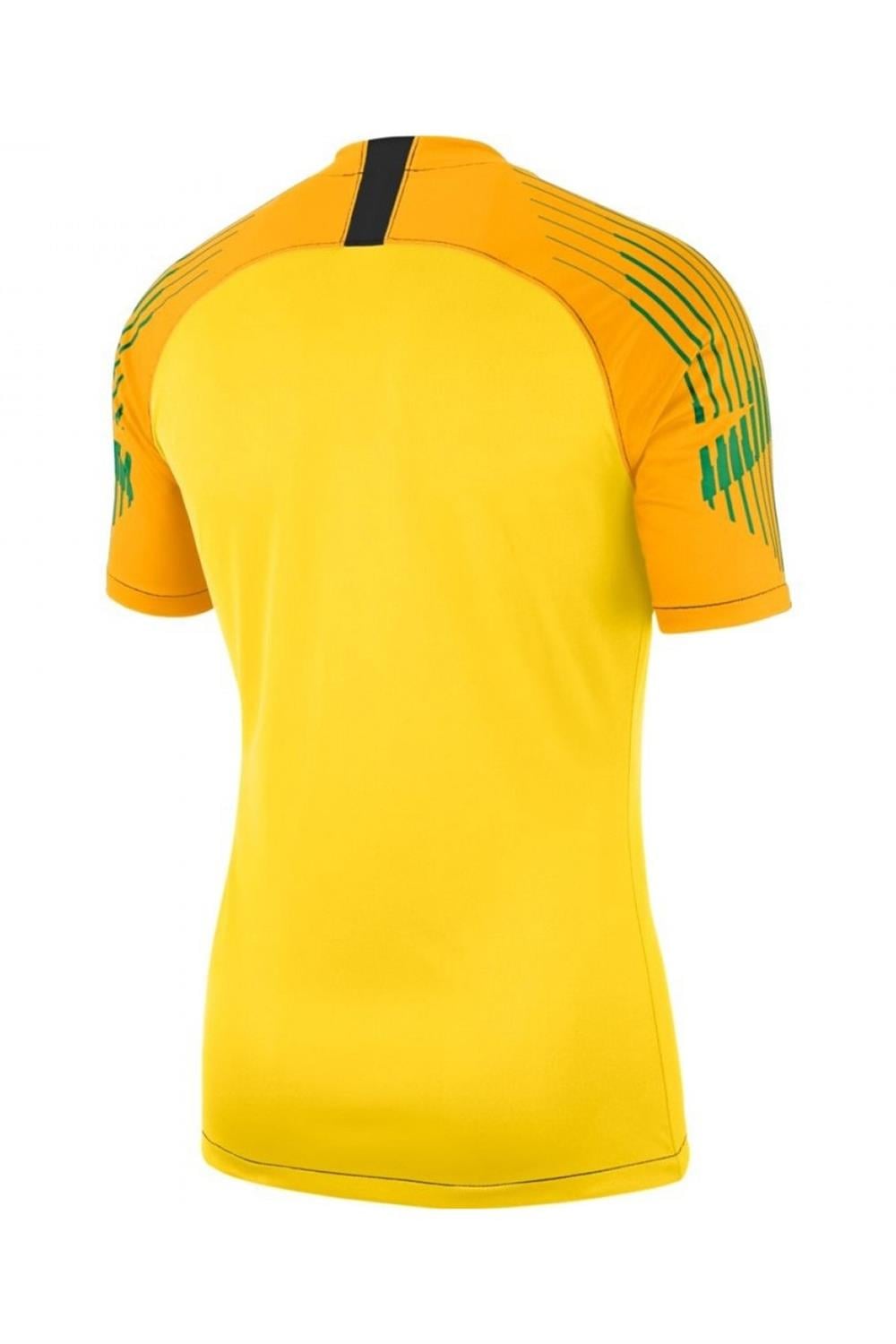 Nike M Nk Gardıen Iı Gk Jsy Ss Kaleci Forması 894512-719