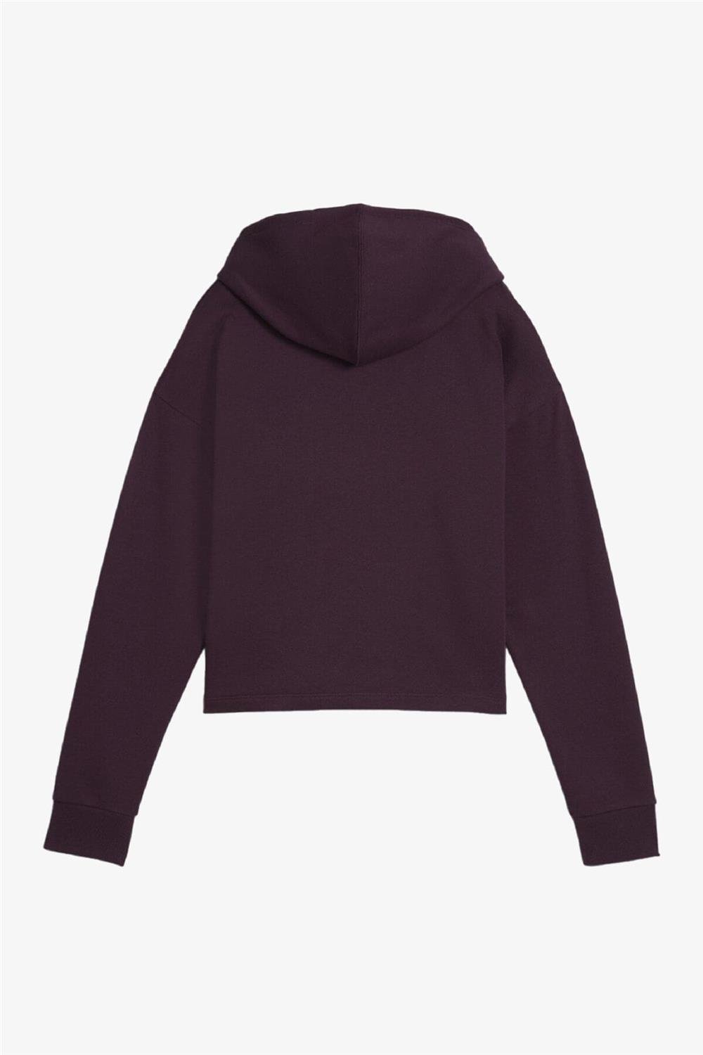 Puma Ess Cropped Logo Hoodie Kadın Sweatshirt 58686946