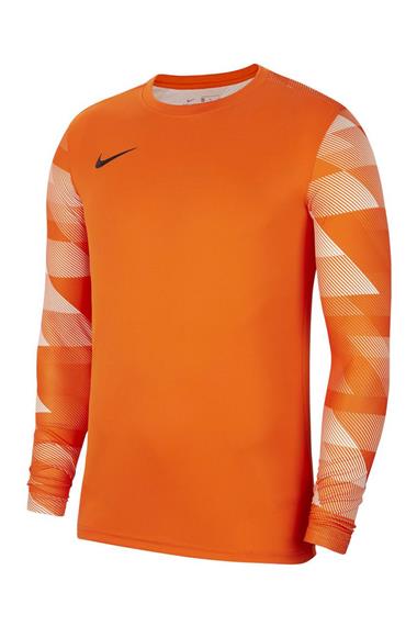 Nike Dri-Fıt Park Iv Erkek Kaleci Forması Cj6066-819