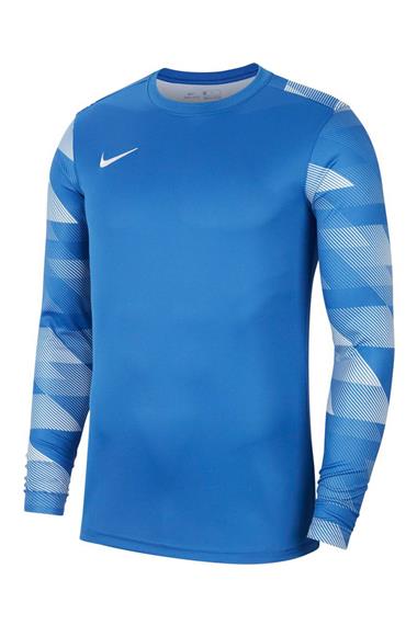 Nike Dri-Fıt Park Iv Erkek Kaleci Forması Cj6066-463