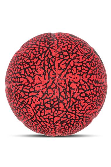 Nike Jordan Skılls 2.0 Basketbol Topu J.100.6753.650.03