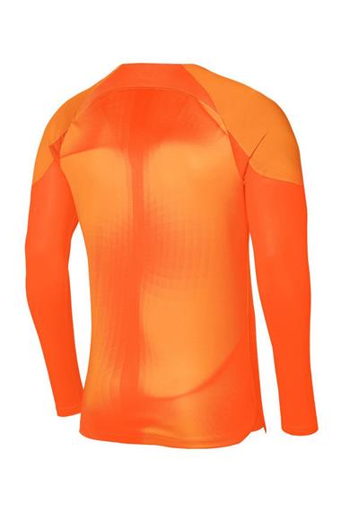 Nike M Nk Dfadv Gardıen Iv Gk Jsyls Erkek Kaleci Forması DH7967-819