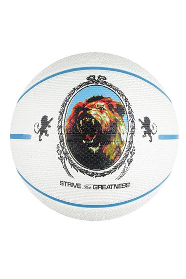 Nike Playground 2.0 8P L James Defalted Basketbol Topu N.100.4372.086.07