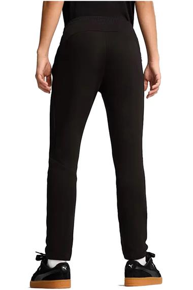 Puma Evostrıpe Pants Erkek Eşofman Altı 68170201