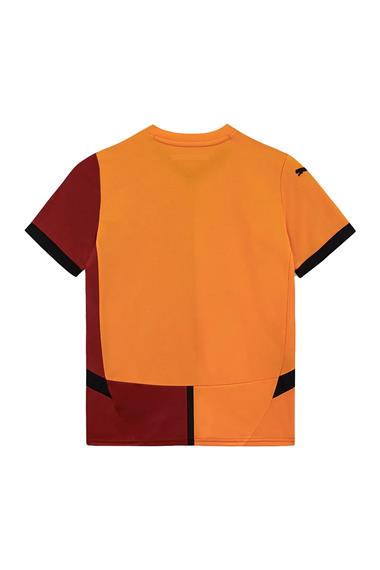 Puma Galatasaray 2024/2025 Çocuk İç Saha Parçalı Forma 77965901