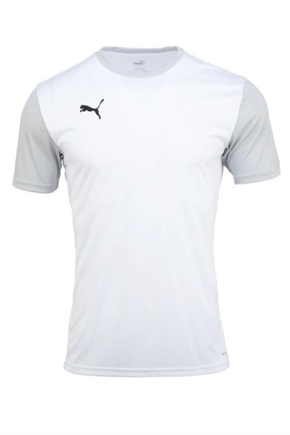Puma Teamgoal 23 Sideline Tee Erkek Antrenman Tişörtü 65648404