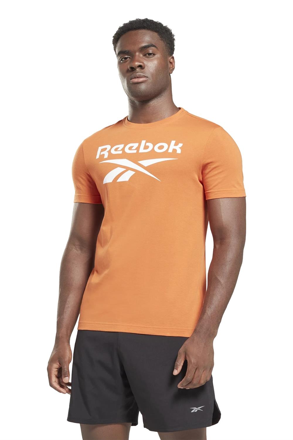 Reebok Rı Big Logo Tee Erkek Tişört Hs4979