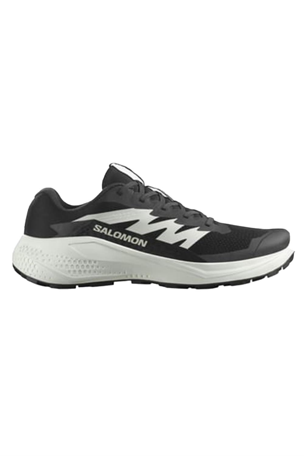 Salomon Alphaglıde Erkek Koşu Ayakkabısı L47801000