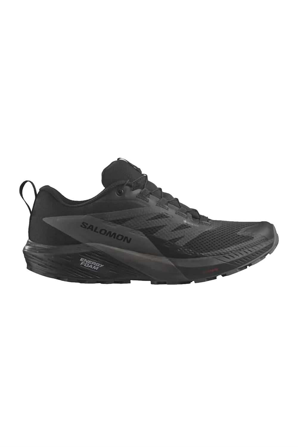 Salomon Sense Rıde 5 Gtx Erkek Patika Koşusu Ayakkabısı L47147200