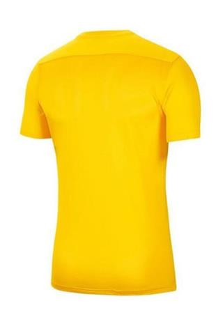Nike Dri-Fıt Park Vıı Erkek Antrenman Tişörtü Bv6708-719
