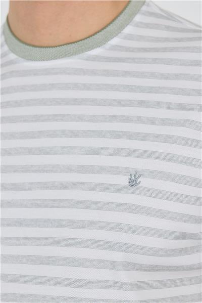 Yeşil Kısa Kol Çizgili Desen Suprem Bisiklet Yaka Cepsiz Slim Fit Tişört 1011250106
