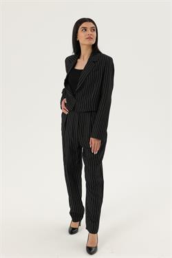 Z2027U Çizgili Ceket - Siyah