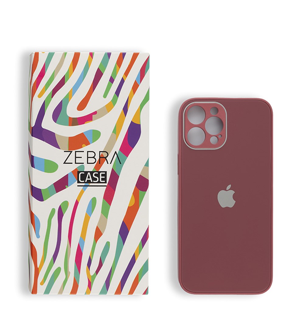 Iphone 11 Pro Kırmızı Glass Serisi Kılıf
