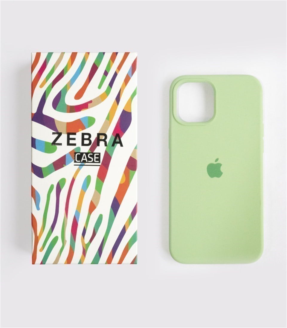 Iphone X/Xs Fıstık Yeşili Lansman Kılıf