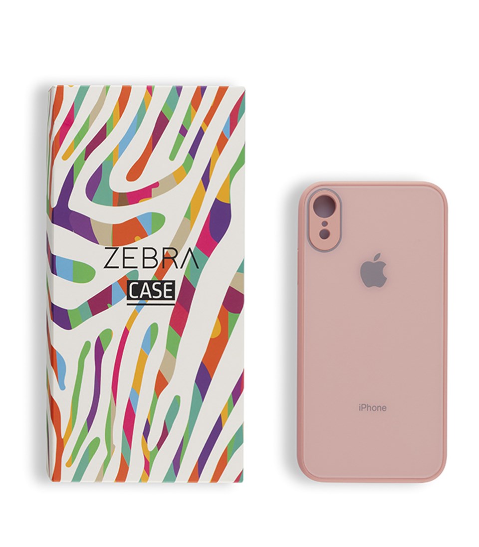 Iphone X/Xs Flamingo Glass Serisi Kılıf