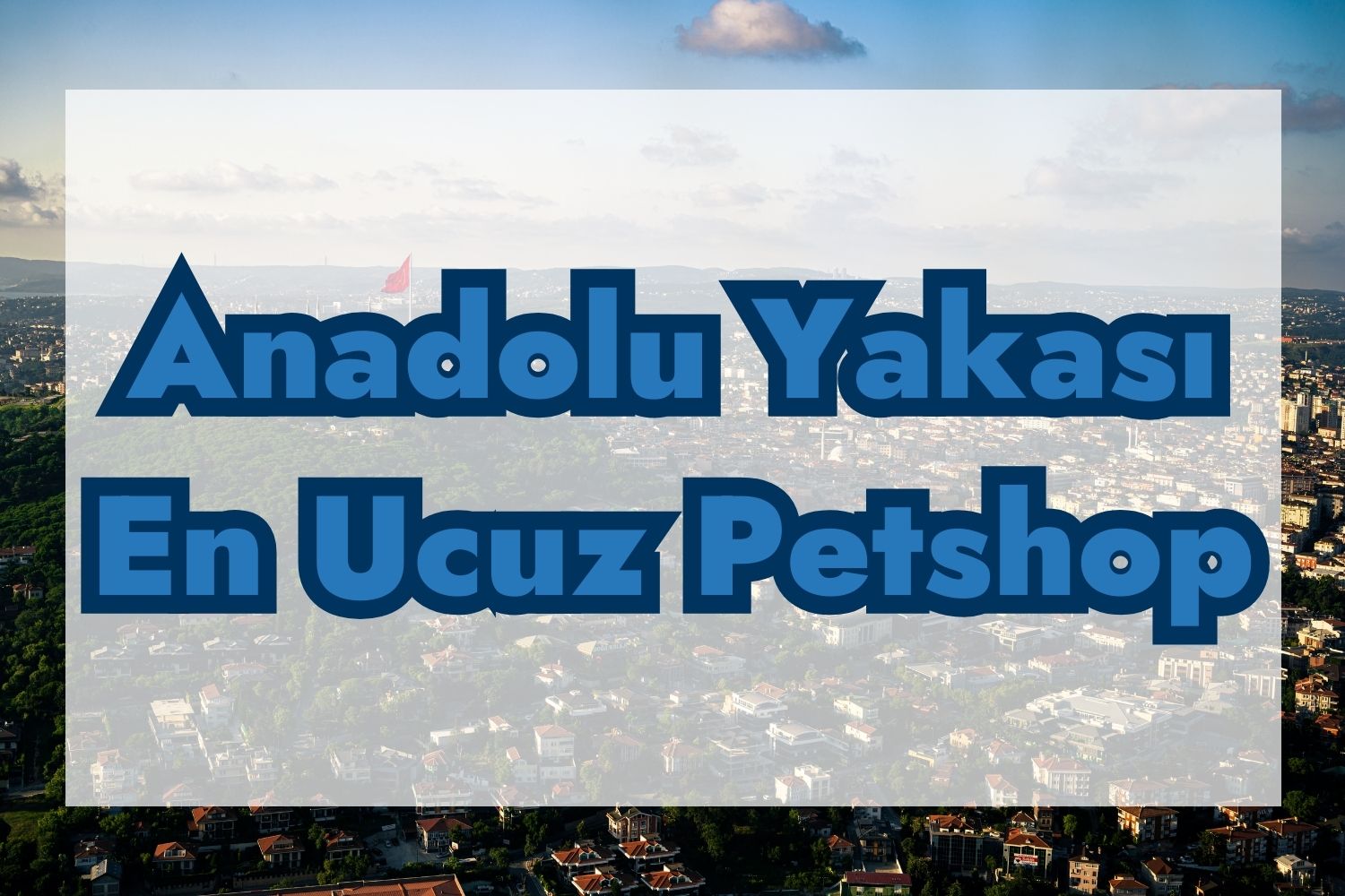 Anadolu Yakası En Ucuz Petshop