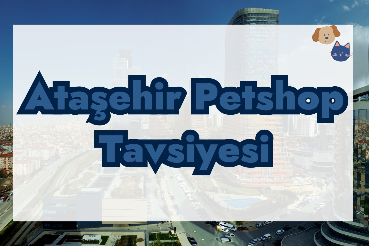 Ataşehir Petshop Tavsiyesi