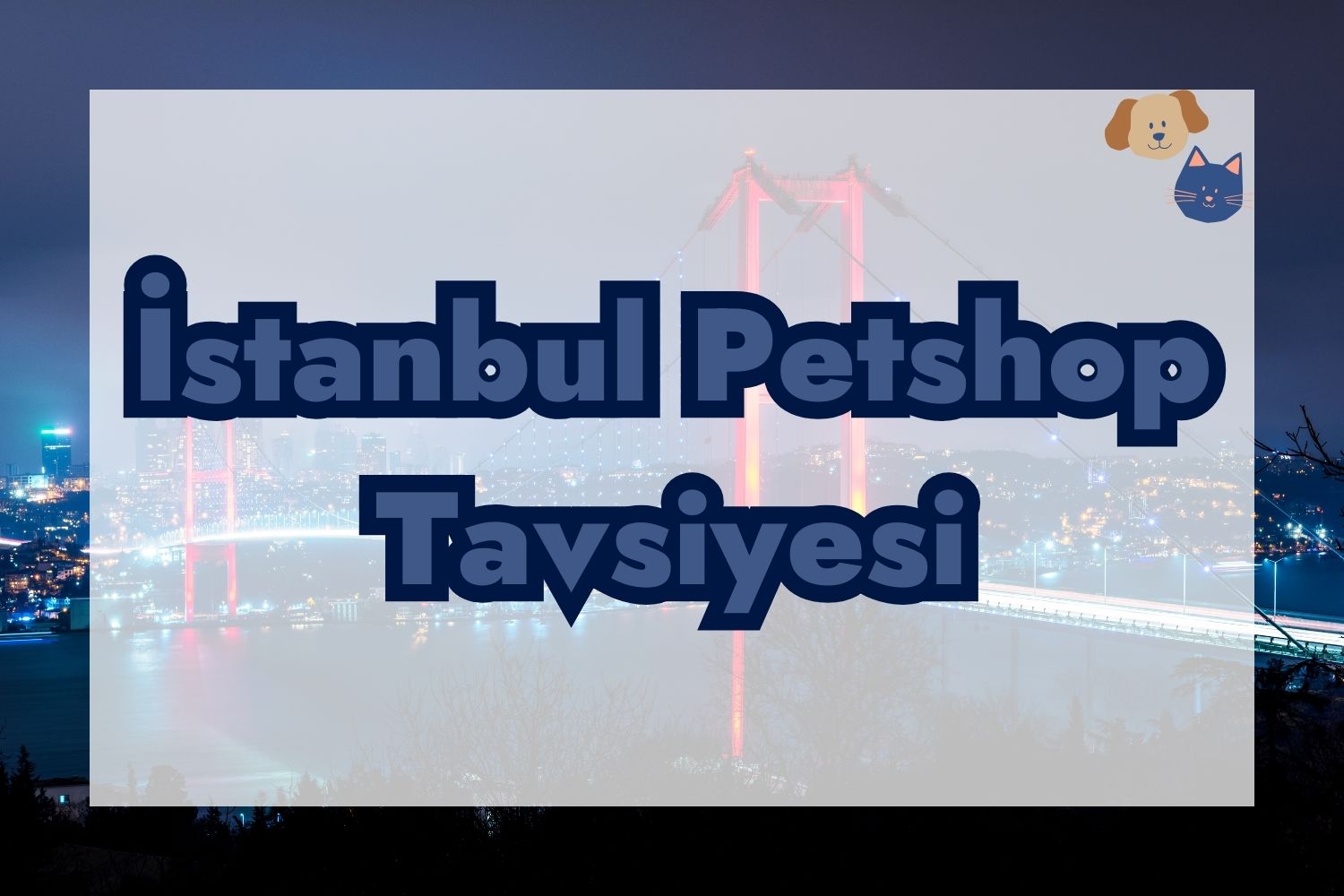 İstanbul Petshop Tavsiyesi