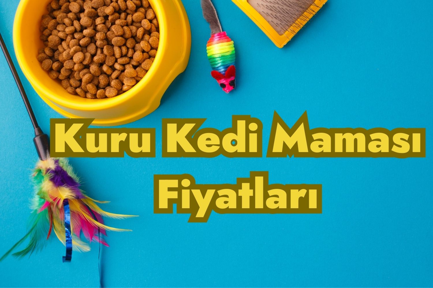 Kuru Kedi Maması Fiyatları ve Çeşitleri