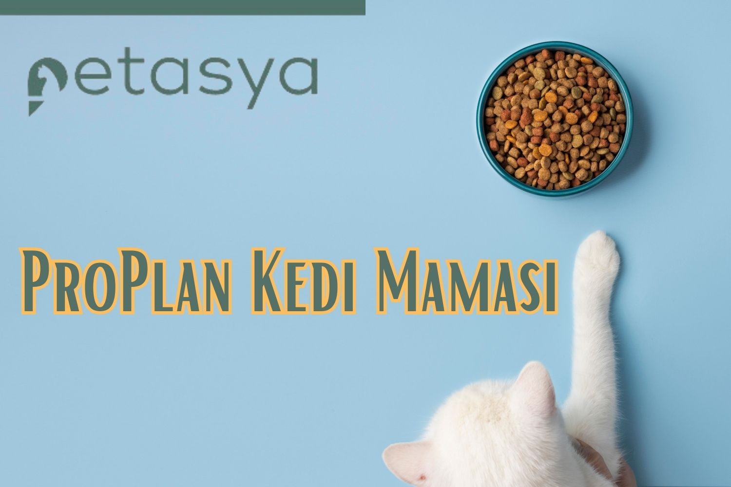 Proplan Kedi Maması Fiyatları