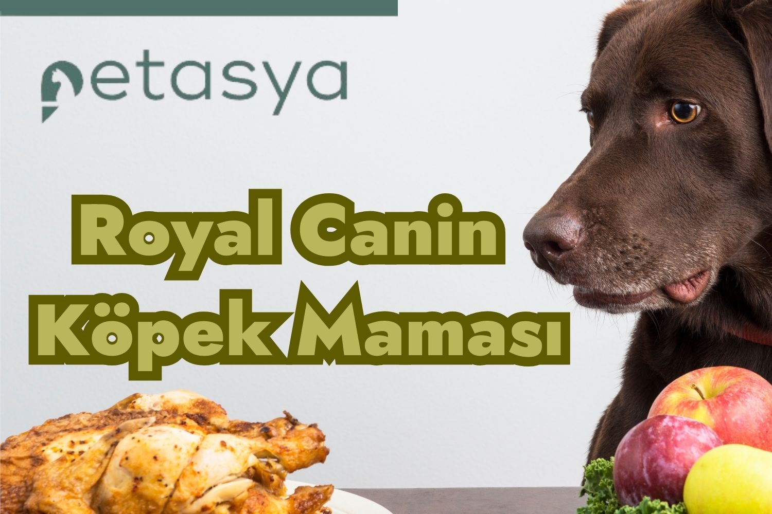 Royal Canin Köpek Maması Fiyatları