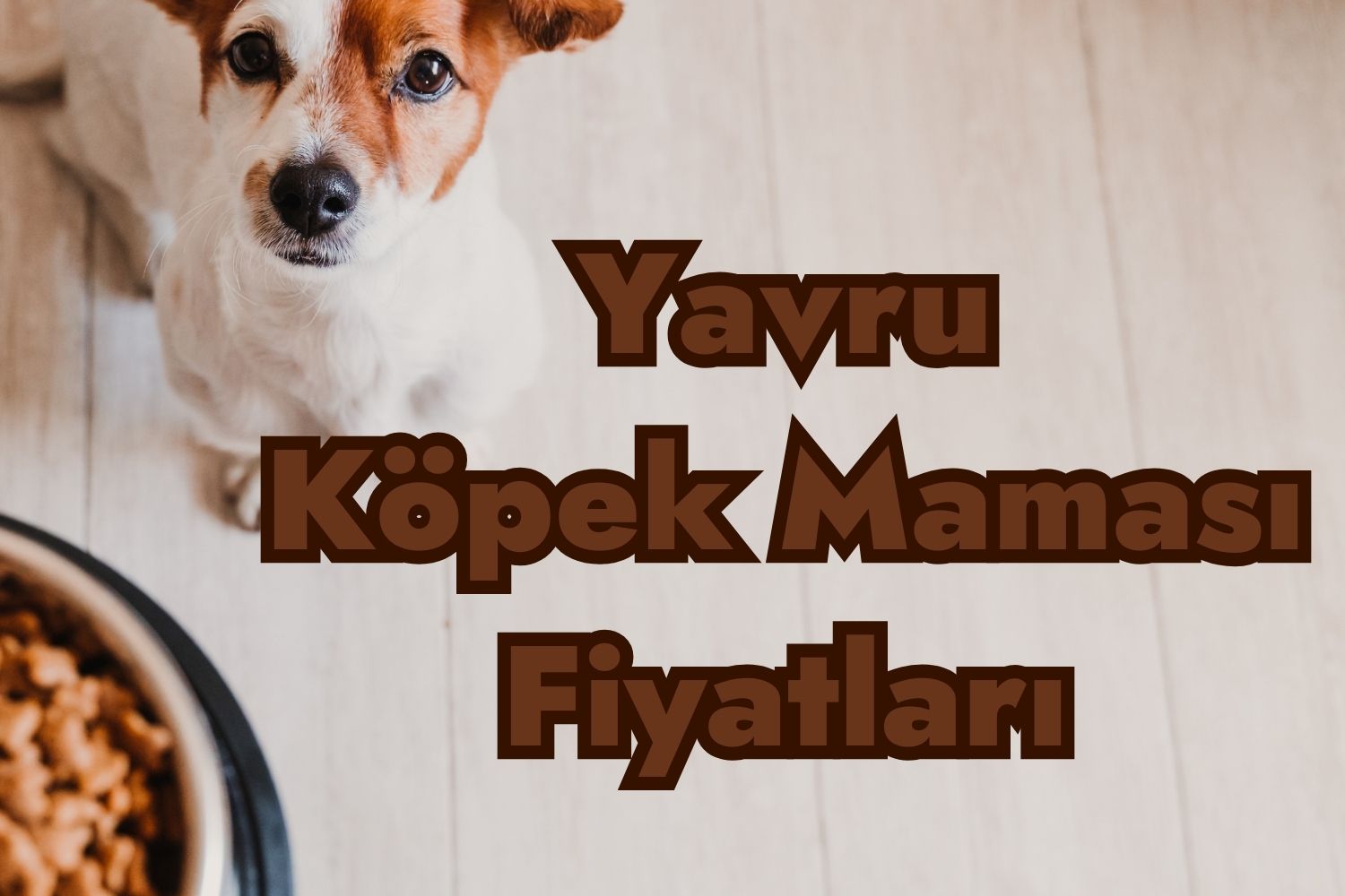 Yavru Köpek Maması Fiyatları ve Çeşitleri