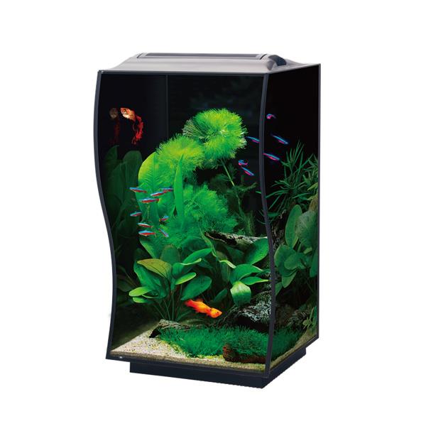 Anubias Nano Tank 36 x 32 x 50 Cm Siyah