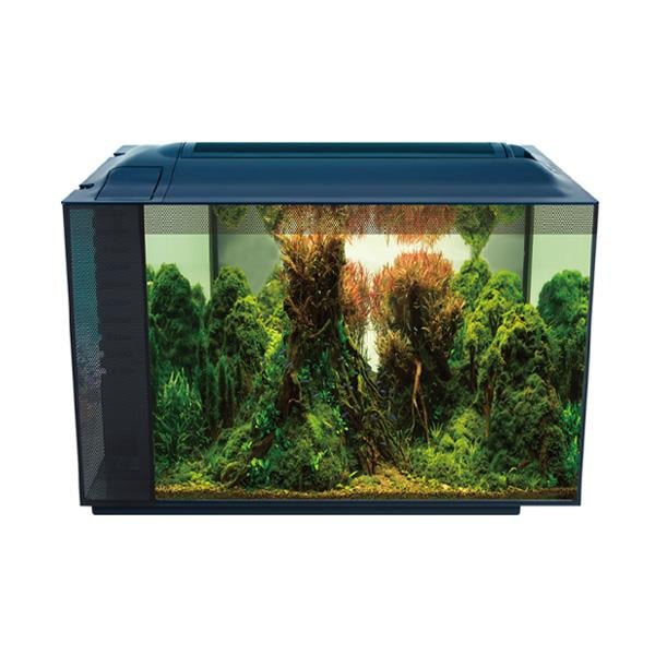Anubias Nano Tank 55,5 x 29,5 x 32 Cm Siyah