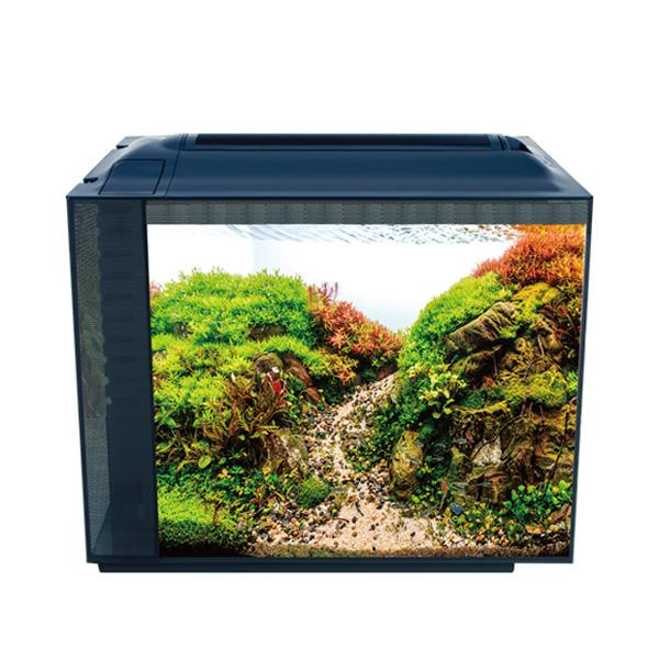 Anubias Nano Tank 55,5 x 29,5 x 44 Cm Siyah