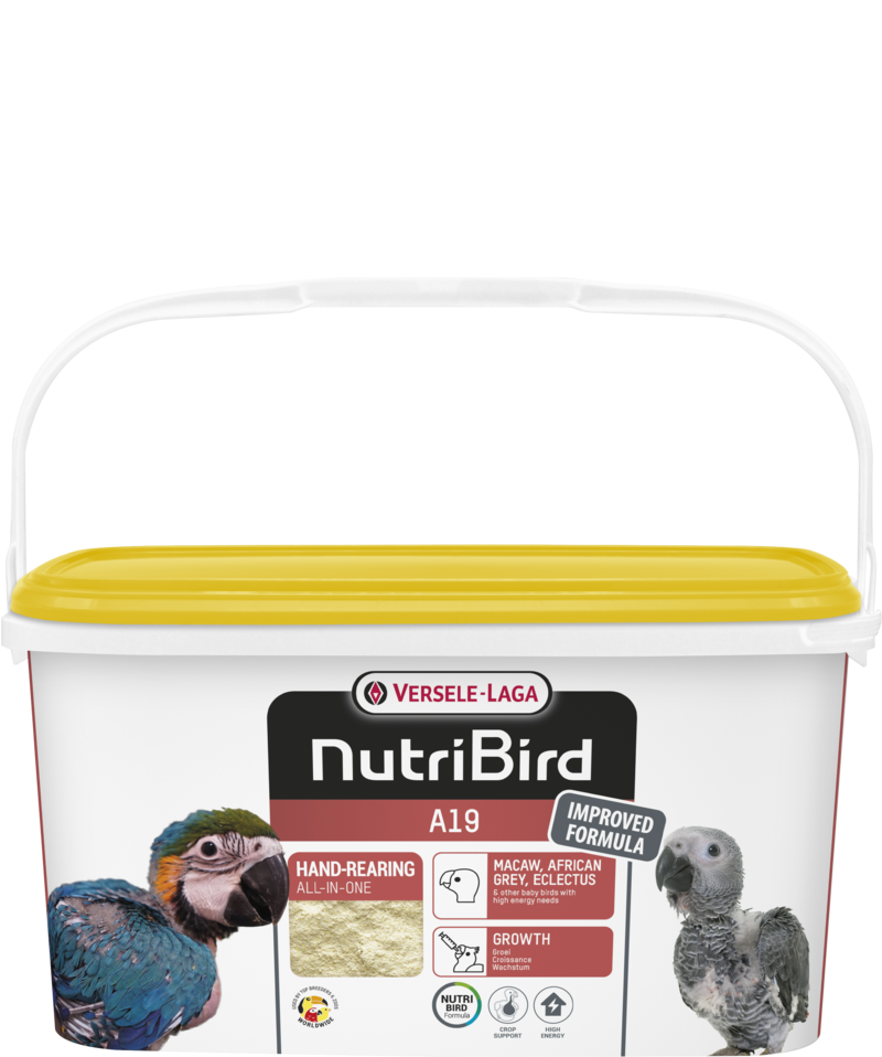 Versele Laga Nutrıbırd A19 Elle Yetiştirme Maması 3kg