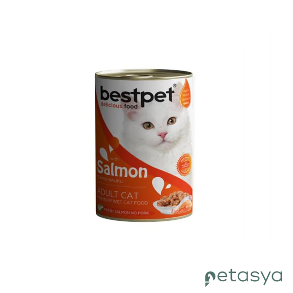 BestPet Somon Balıklı   Yetişkin Kedi Konservesi 400 Gr