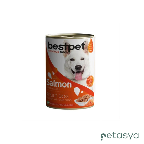 BestPet Somon Balıklı   Yetişkin Köpek Konservesi 400 Gr