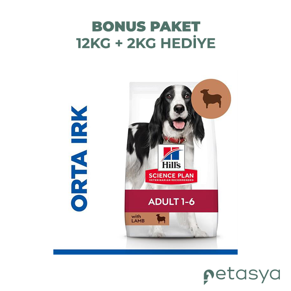 Hills Kuzulu Orta Irk Yetişkin Köpek Köpek Maması  12kg + 2kg HEDİYE!
