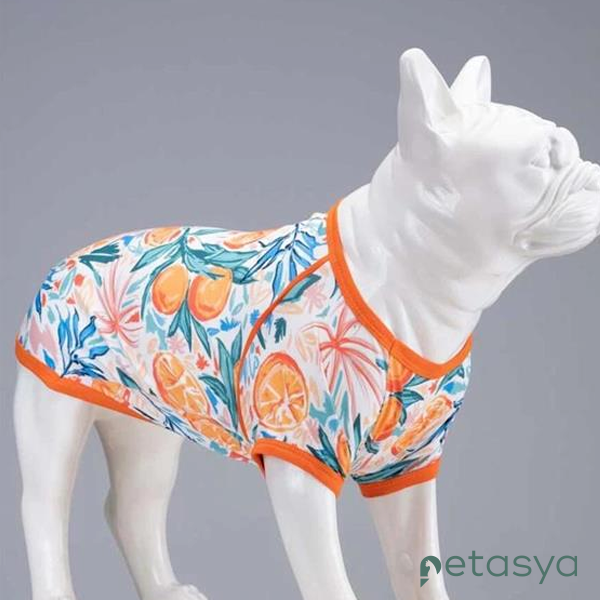 Lindo Orange Blossom Köpek Tshirt(Beden 2)