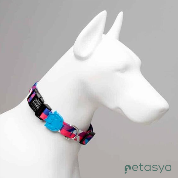 Lindo Pink Köpek Gezdirme Kayışı 1,2m/2cm [M]
