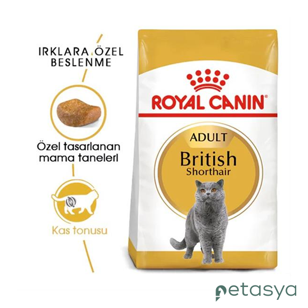 Royal Canin British Shorthair  Yetişkin Kedi Maması 2 Kg