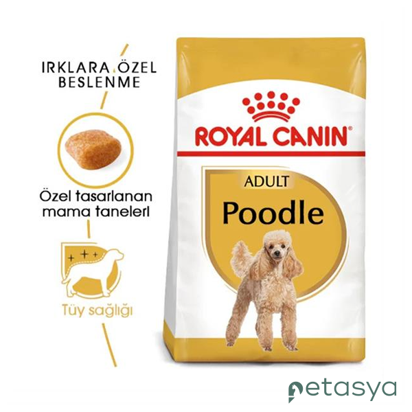 Royal Canin Poodle Yetişkin Köpek Maması 3 Kg