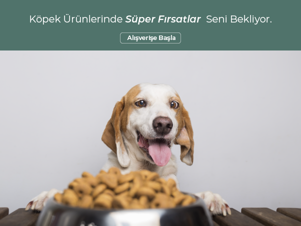 Köpek /m2.svg