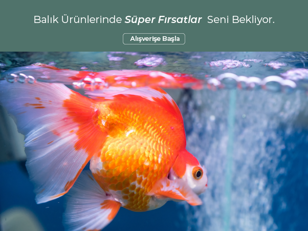Balık /m3.svg