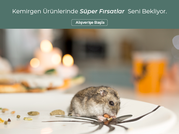 Kemirgen /m6.svg