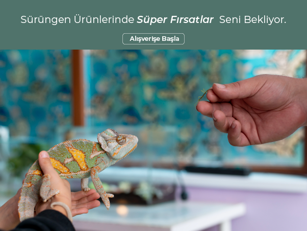 Sürüngen /m5.svg