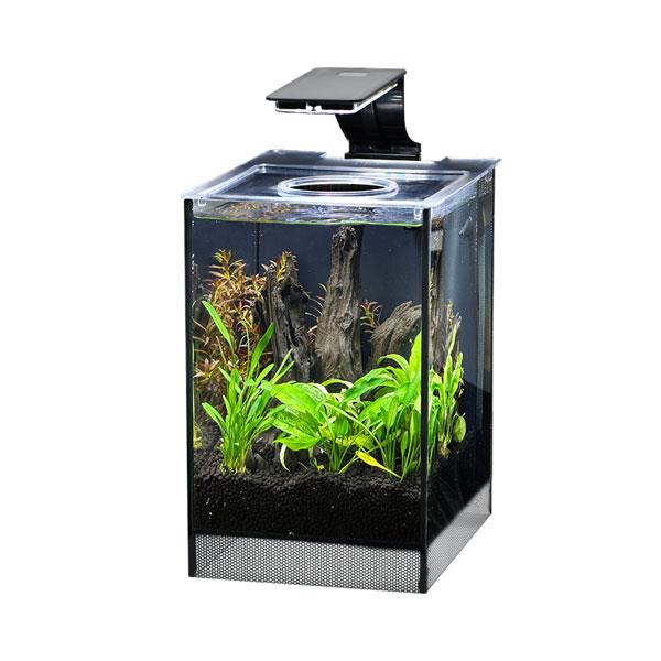 Anubias Nano Tank 17 x 22 x 26,5 Cm Siyah